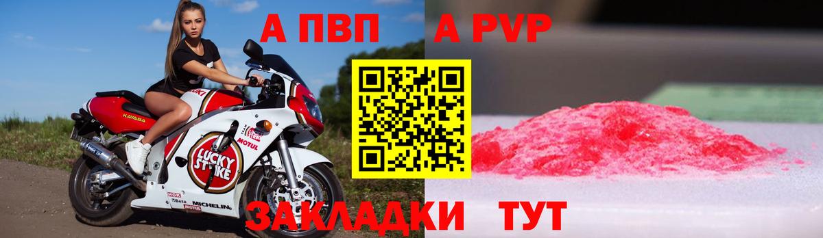 Альфа ПВП СК Асино