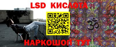 прущие грибы Пенза
