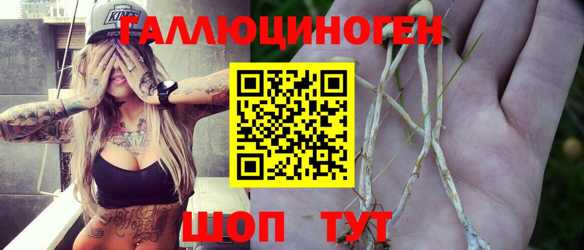 Псилоцибиновые грибы Psilocybe  Вход с VPN  Асино 